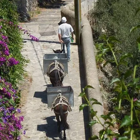 Amalfi, Panorama, Relax & Privacy! Amalfi